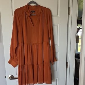 1. State Rust Long Sleeve Dress